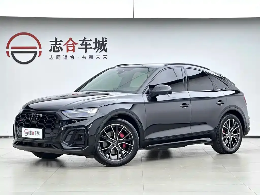 Audi SQ5 — фото 1