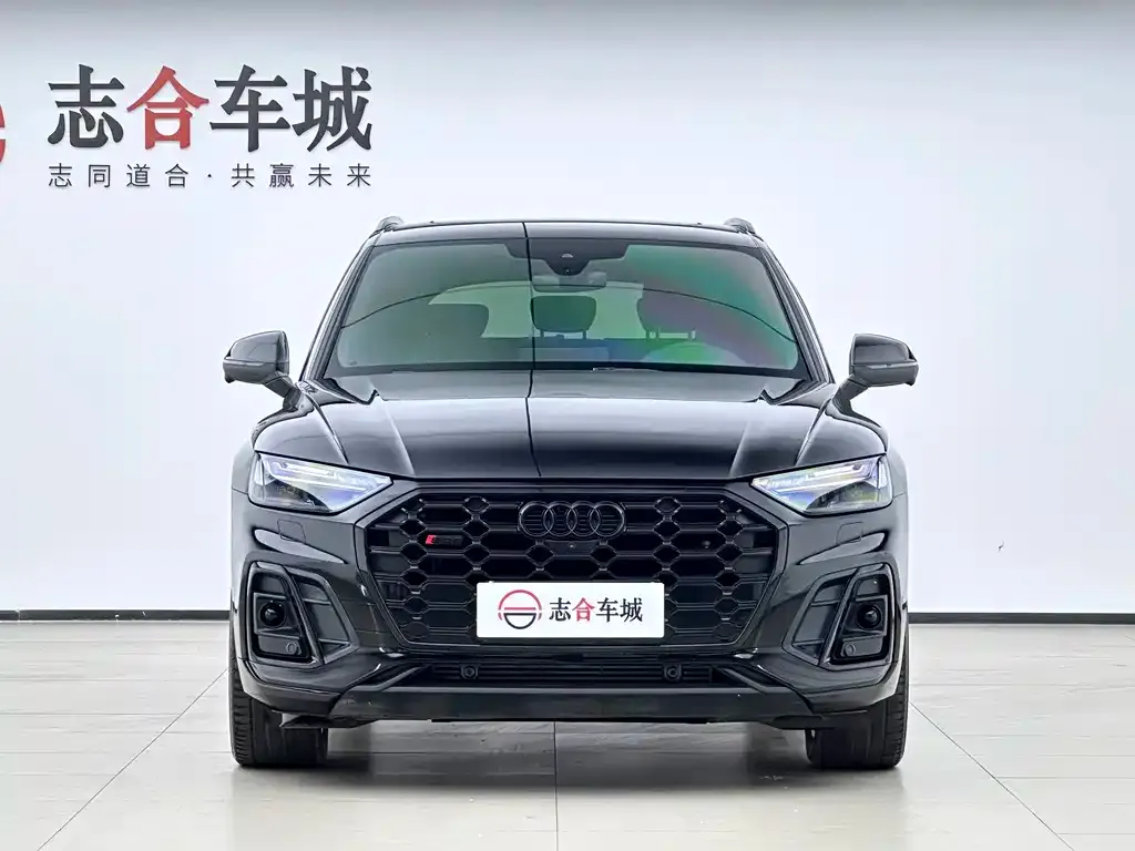Audi SQ5 — фото 5