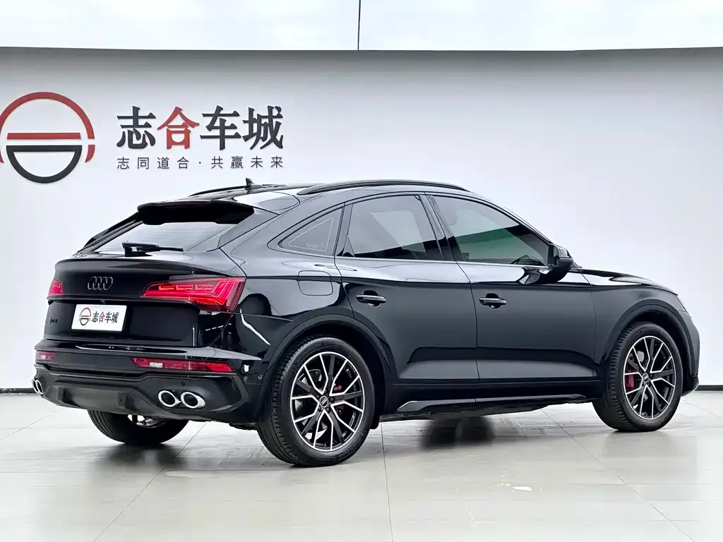 Audi SQ5 — фото 9