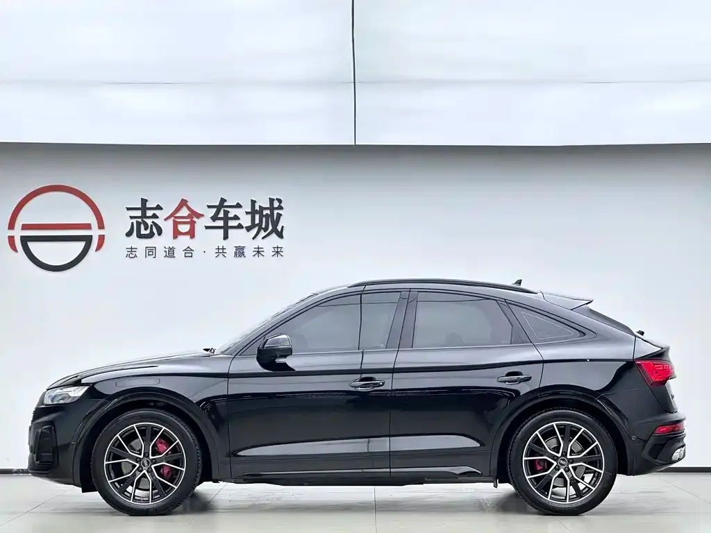 Audi SQ5 — фото 4