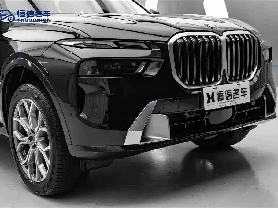 BMW X7 — фото 10