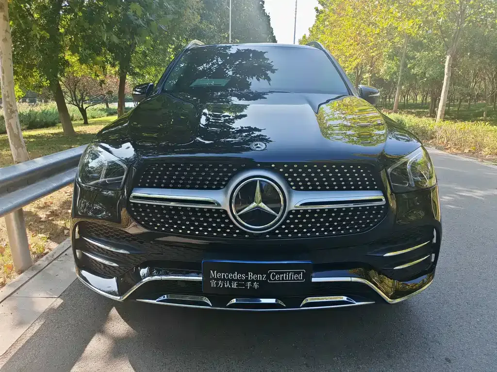 Mercedes-Benz GLE (Import) — фото 7