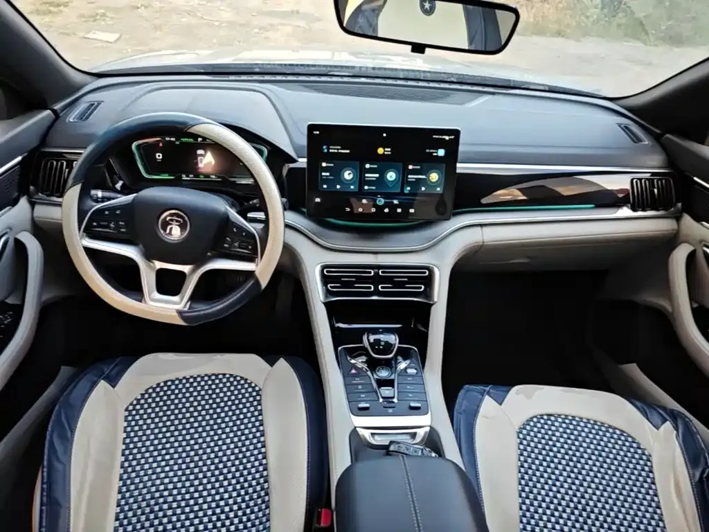 BYD PLUS New Energy — фото 10