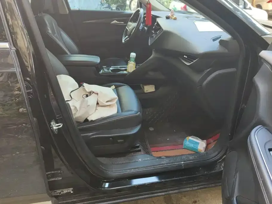 Buick Envision Plus — фото 6