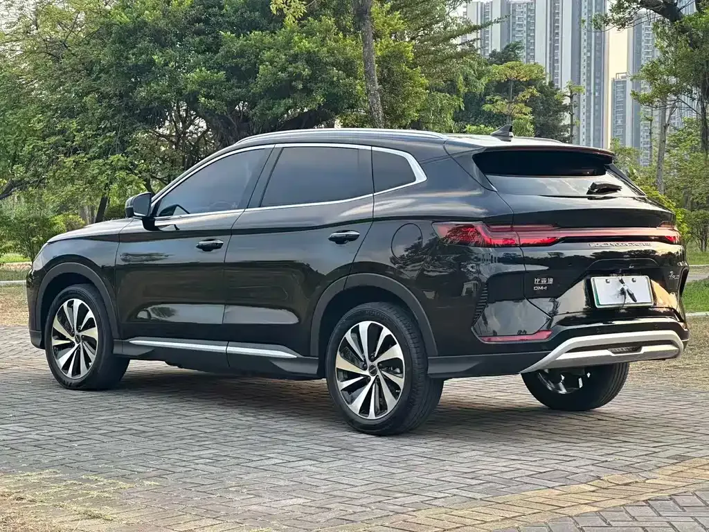 BYD PLUS New Energy — фото 8