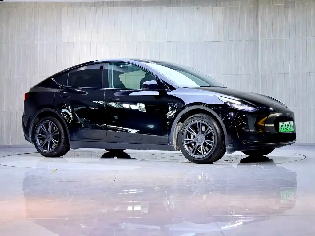 Tesla Model Y — фото 10
