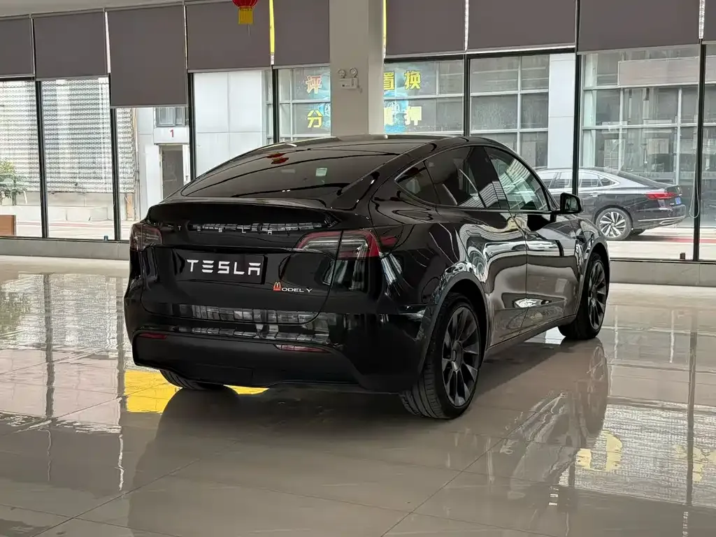 Tesla Model Y — фото 10