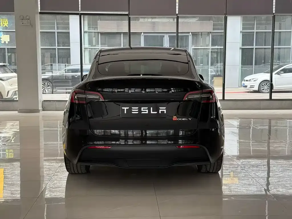 Tesla Model Y — фото 8