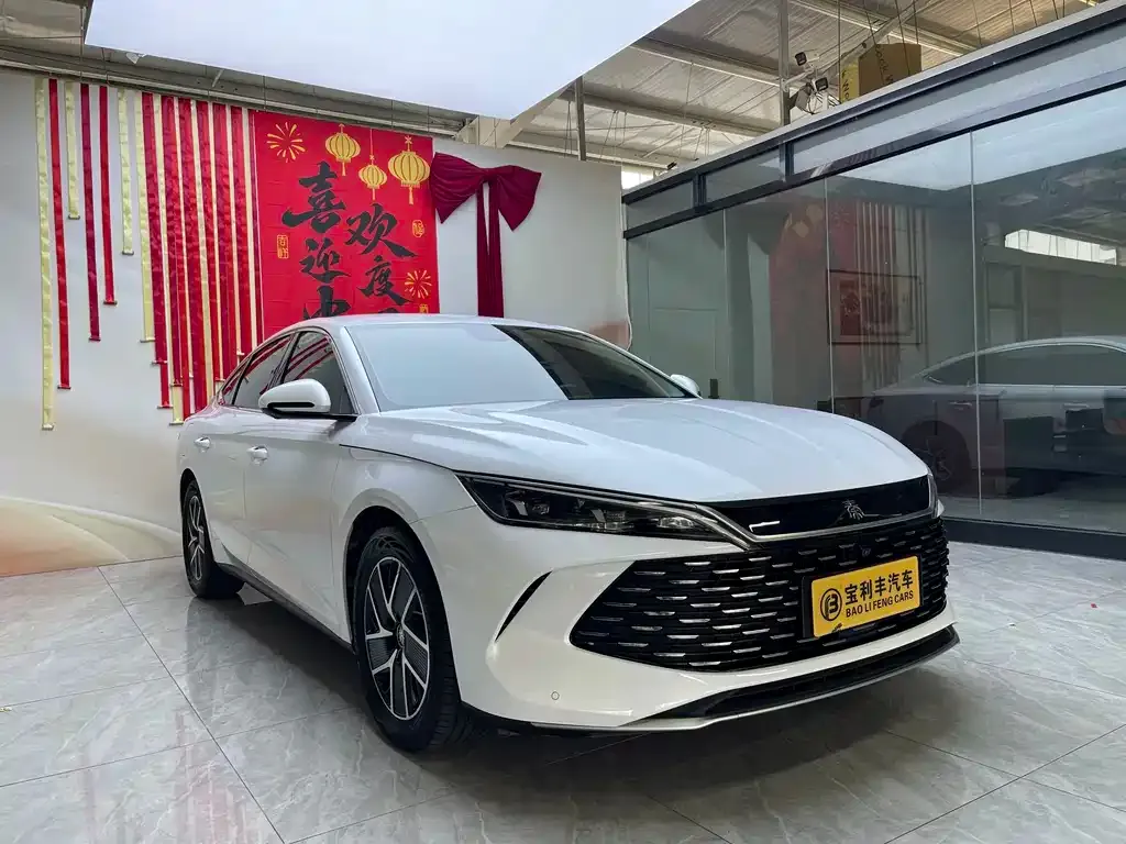 BYD Qin L — фото 10