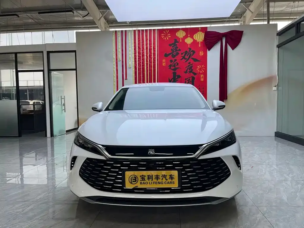 BYD Qin L — фото 3