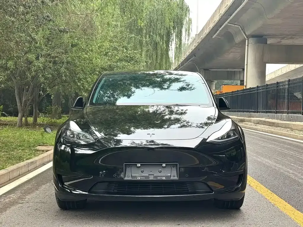 Tesla Model Y — фото 8