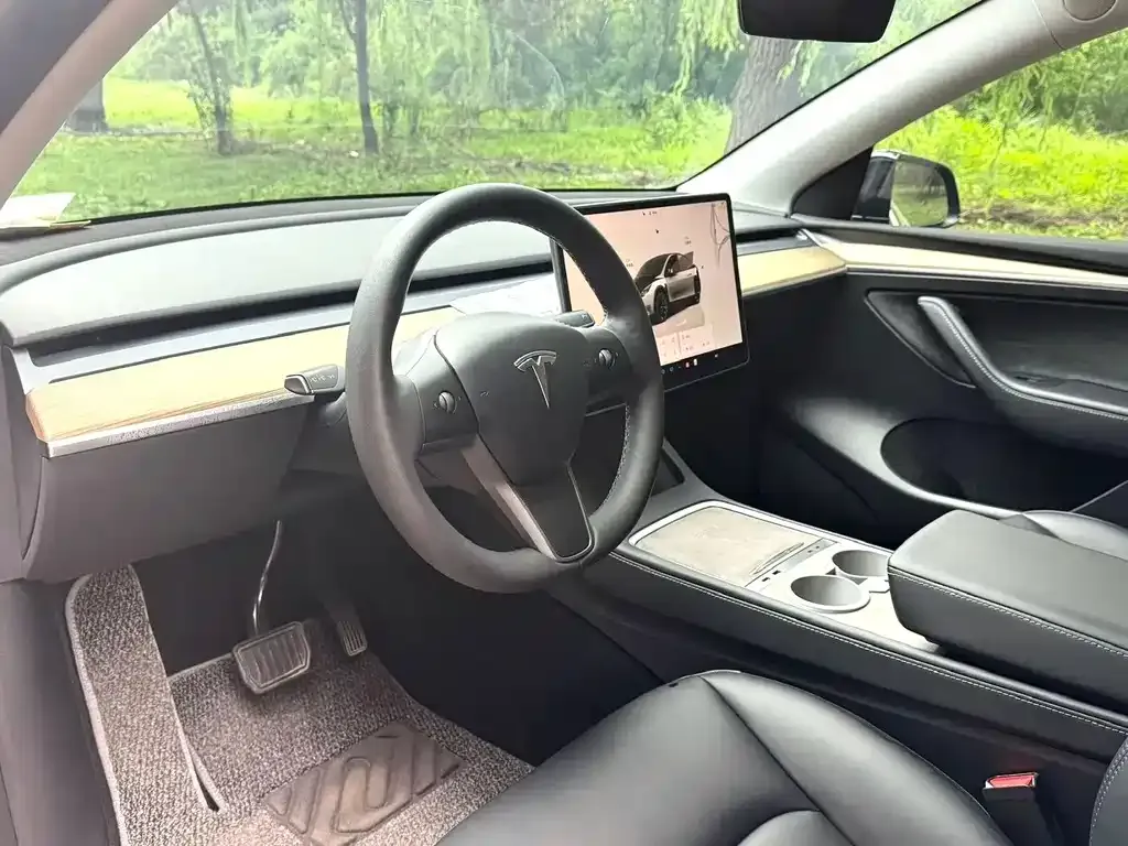 Tesla Model Y — фото 2