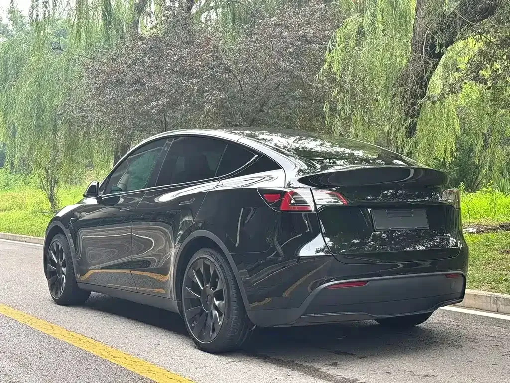 Tesla Model Y — фото 5