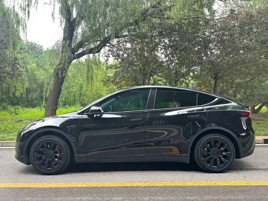 Tesla Model Y — фото 9