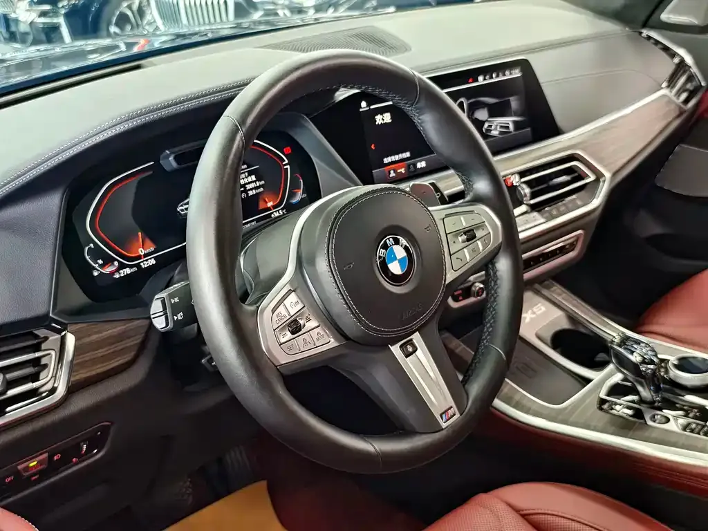 BMW X5 — фото 9