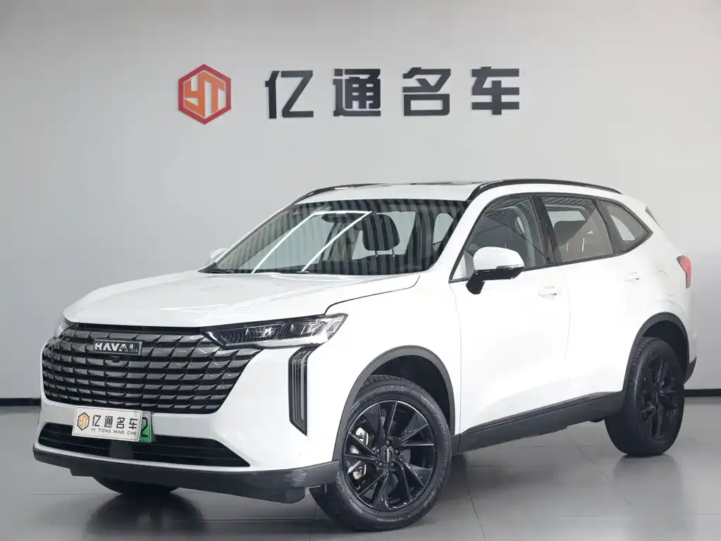 Haval H6 New Energy — фото 1