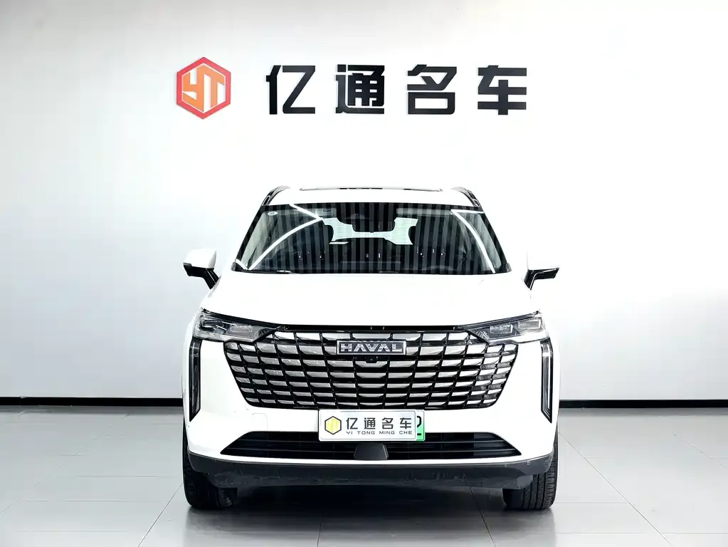 Haval H6 New Energy — фото 5