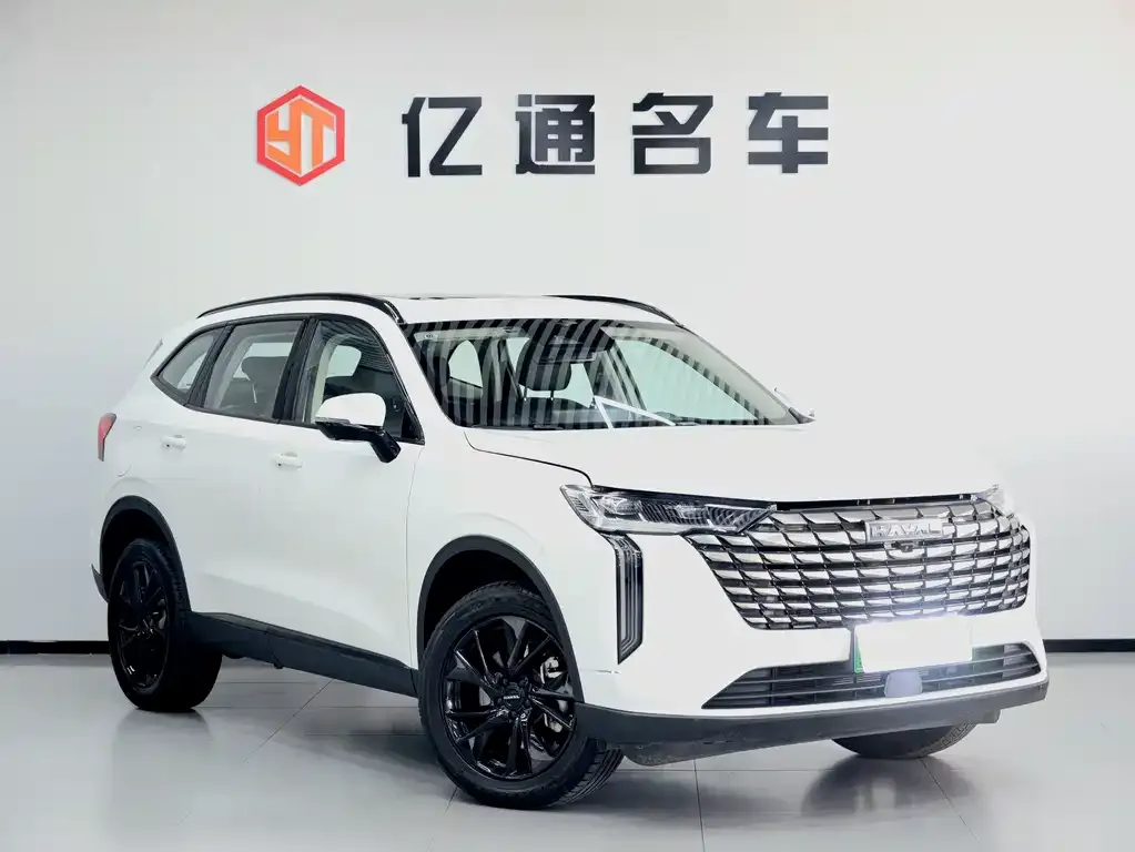 Haval H6 New Energy — фото 3
