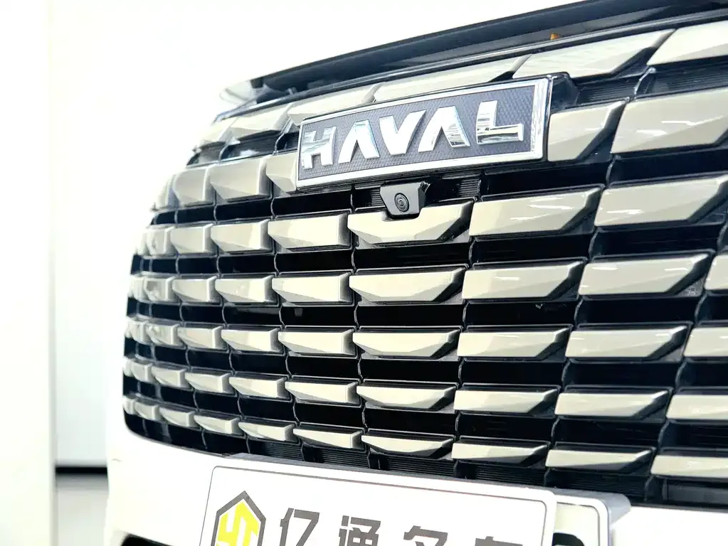 Haval H6 New Energy — фото 8