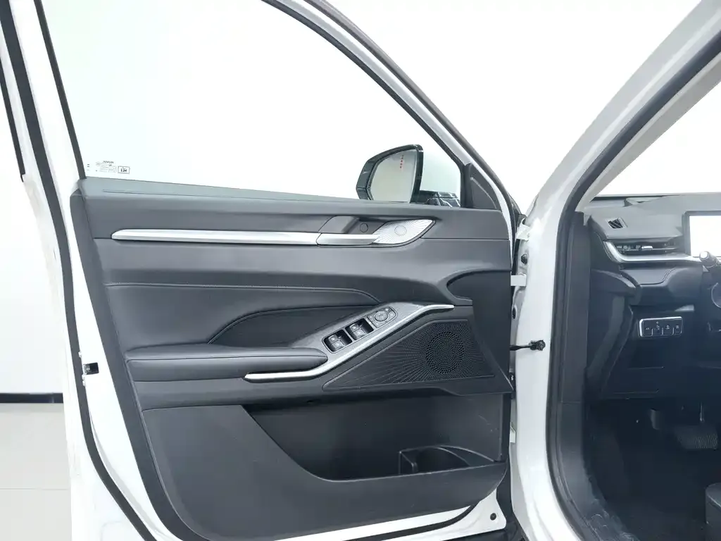 Haval H6 New Energy — фото 2
