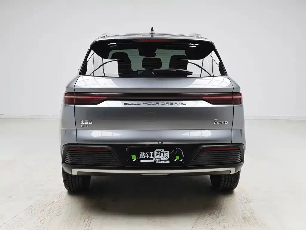BYD Pro New Energy — фото 8