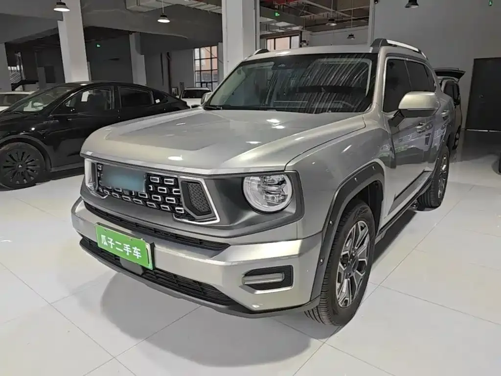 Haval Big Dog PLUS New Energy — фото 7