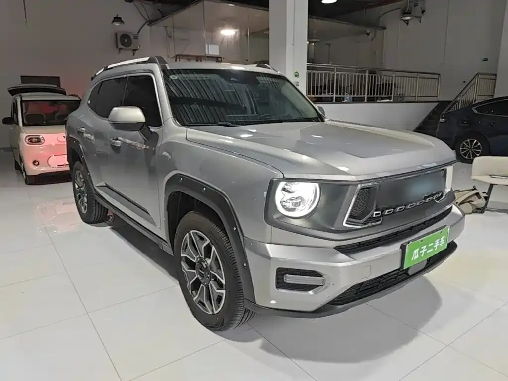 Haval Big Dog PLUS New Energy — фото 8