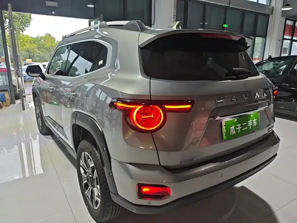 Haval Big Dog PLUS New Energy — фото 6