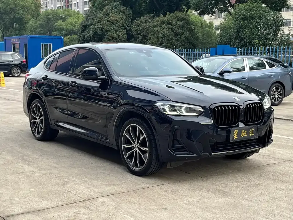 BMW X4 — фото 10