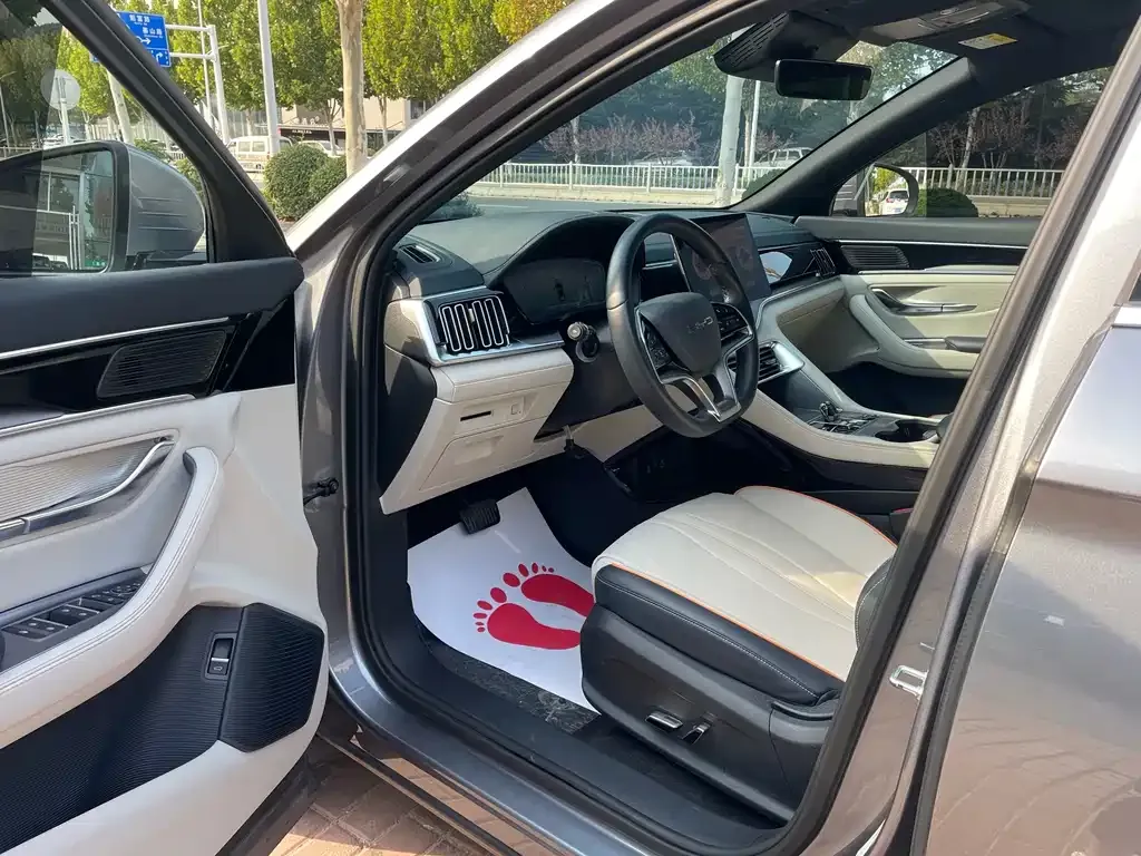 BYD PLUS New Energy — фото 3