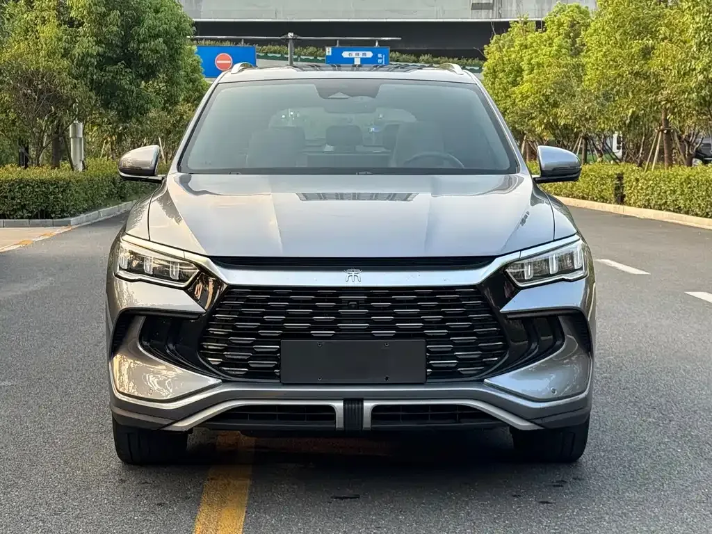 BYD Pro New Energy — фото 10