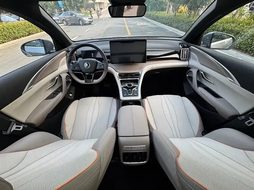 BYD Pro New Energy — фото 4