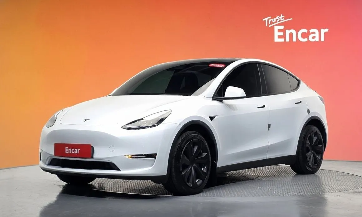 Tesla Model Y — фото 1