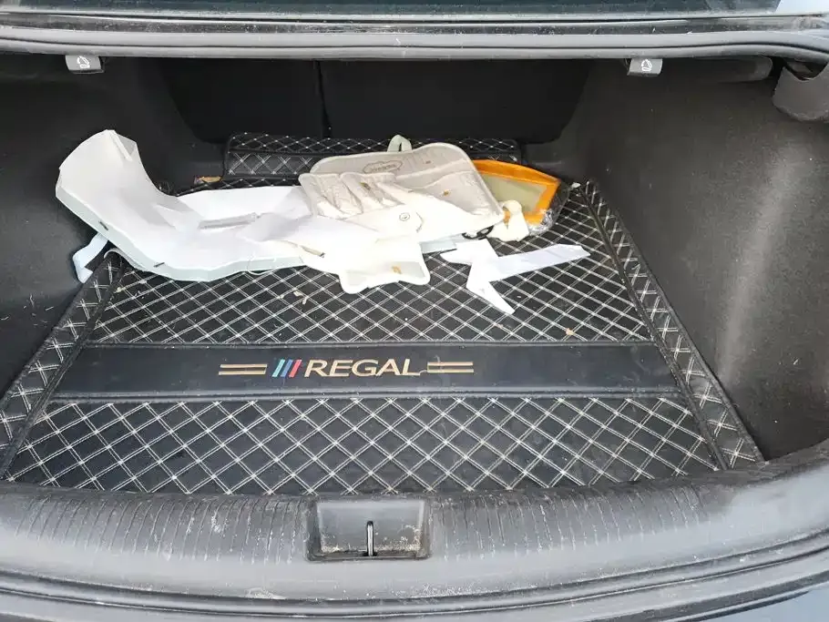 Buick Regal — фото 8
