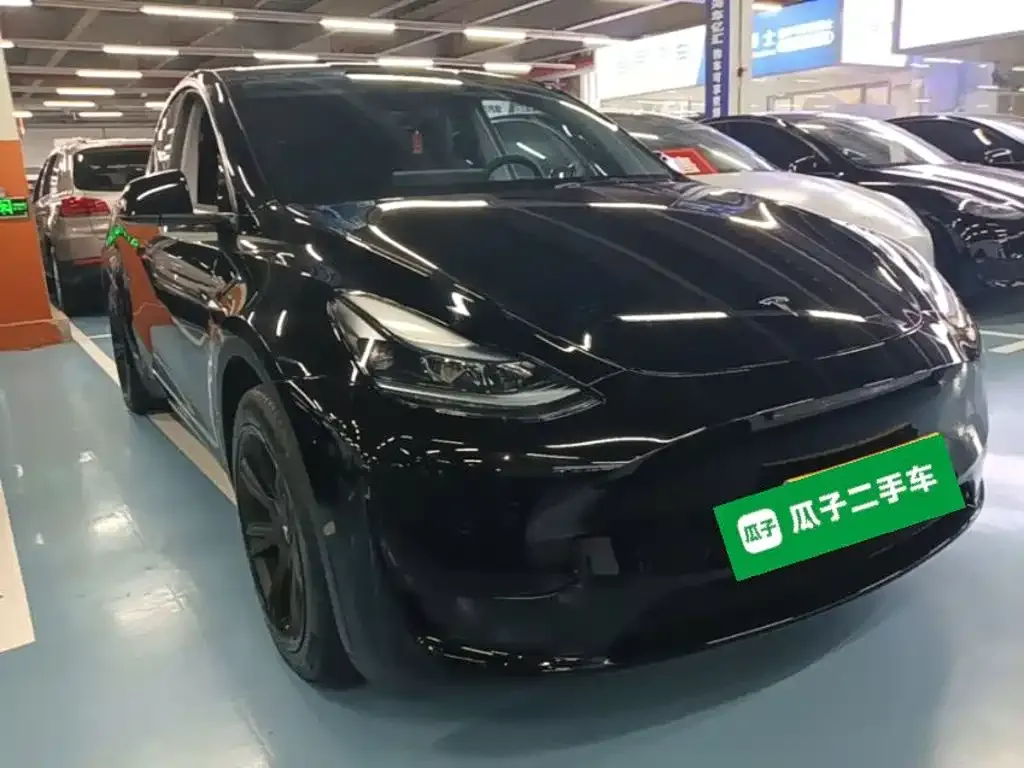 Tesla Model Y — фото 10