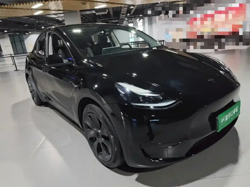 Tesla Model Y — фото 10