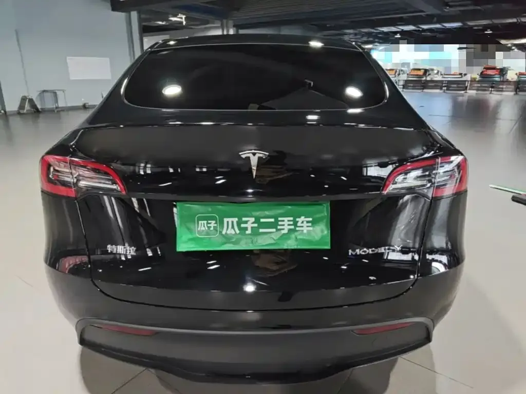 Tesla Model Y — фото 9