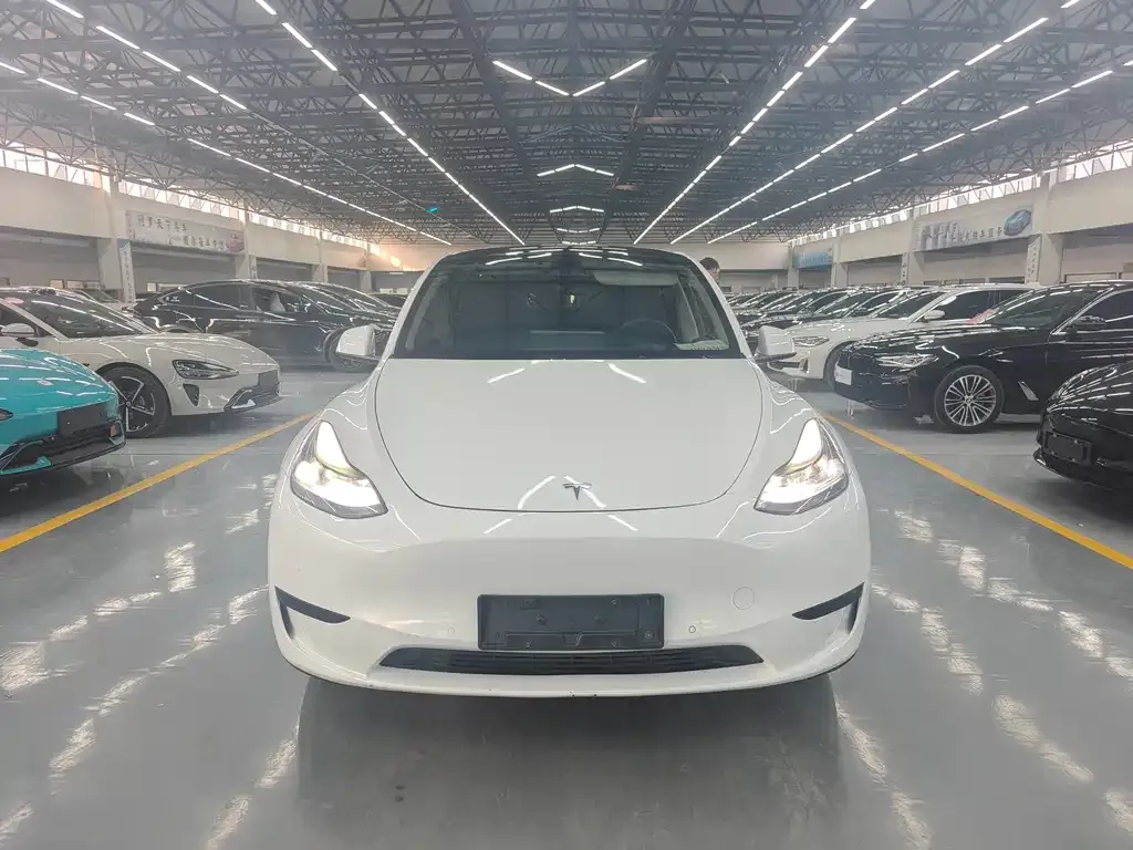 Tesla Model Y — фото 1