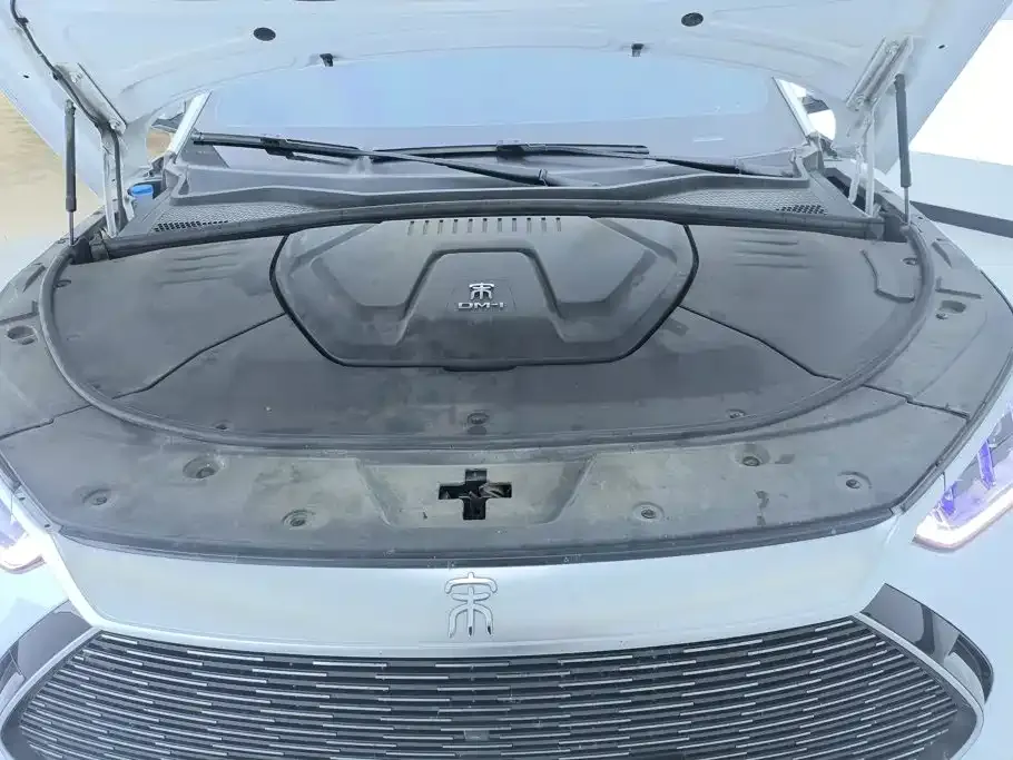 BYD PLUS New Energy — фото 6