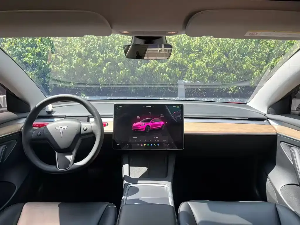 Tesla Model 3 — фото 2