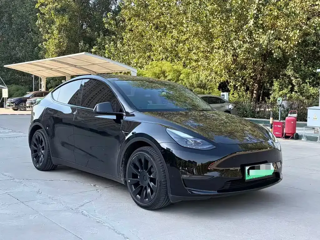 Tesla Model Y — фото 10