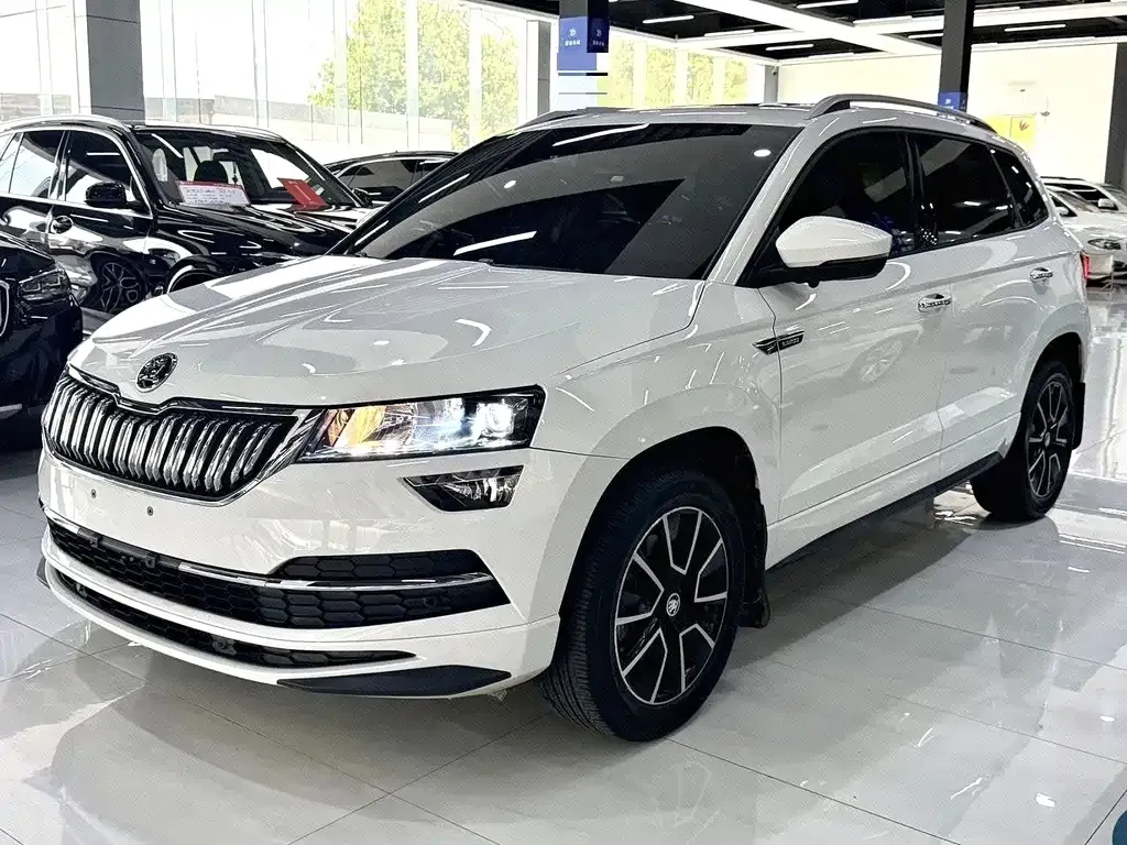 Skoda Karoq — фото 1