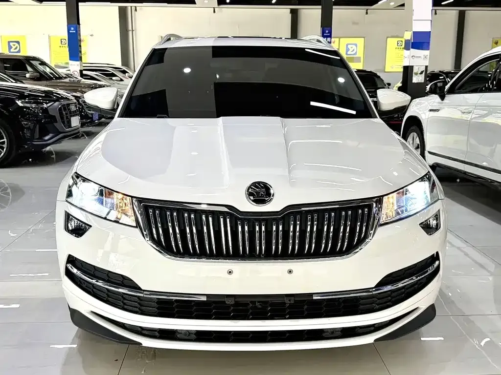 Skoda Karoq — фото 5