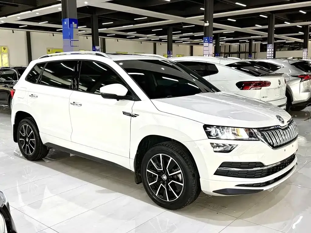 Skoda Karoq — фото 10