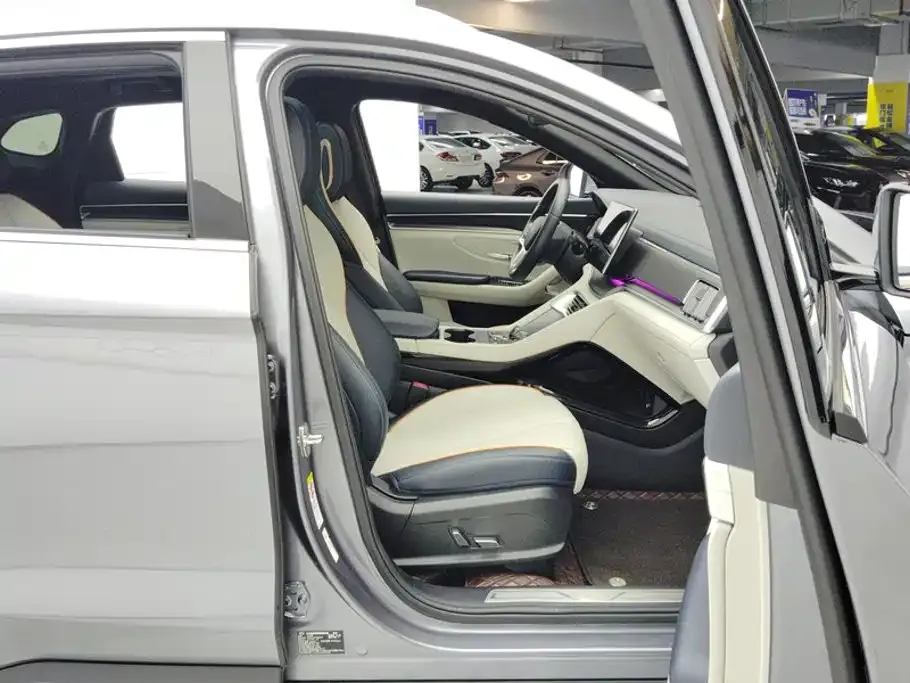 BYD PLUS New Energy — фото 10