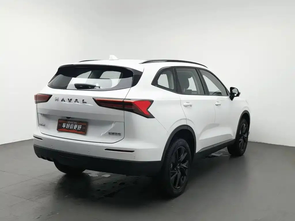 Haval H6 — фото 5