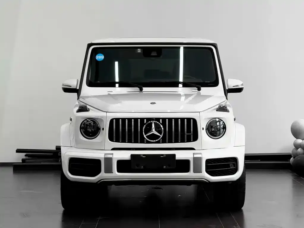 Mercedes-Benz G-Class — фото 6