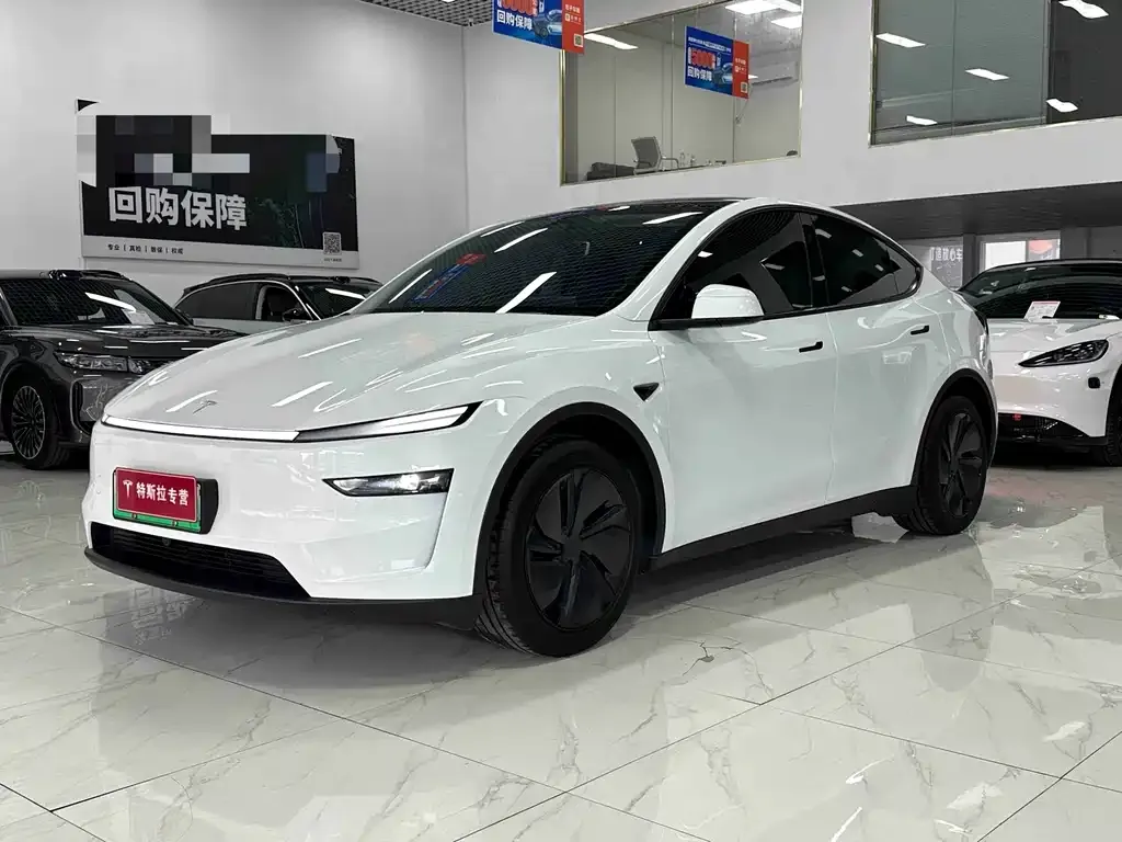 Tesla Model Y — фото 1
