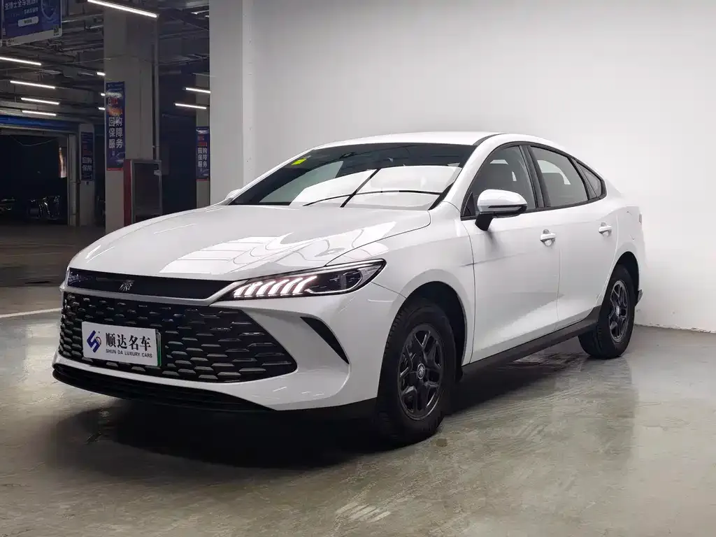 BYD Qin PLUS — фото 1