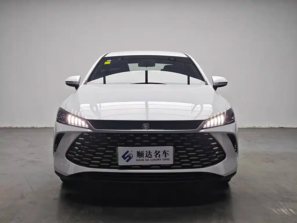 BYD Qin PLUS — фото 3